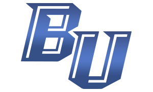 BU娛樂城-logo